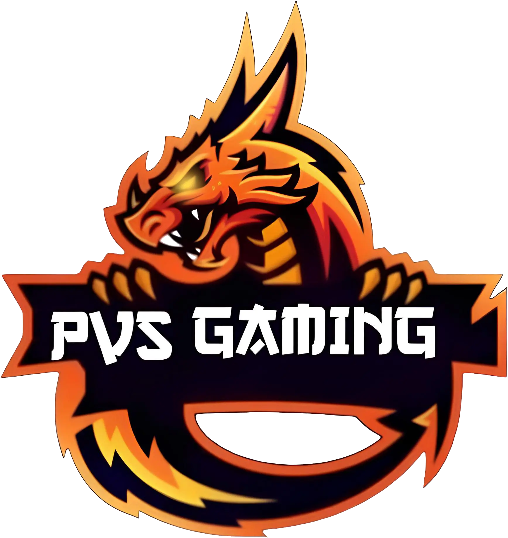 PVS Gaming